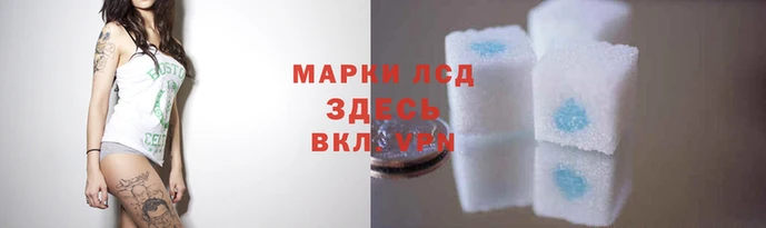 сатива Тайга