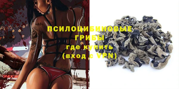 дурь Тавда