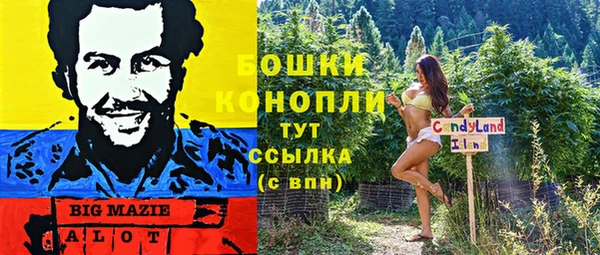 2c-b Сясьстрой