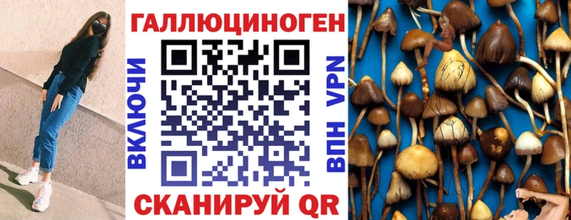 Купить где Печоры Псилоцибиновые грибы Magic Shrooms